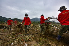 해병대 제1사단 장병 대민지원에 구슬땀