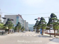 의정부시 범골로, 쾌적한 명품 가로수길 조성