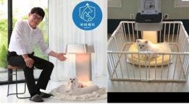 레이바이오, 국내최초 반려동물 의료기기 비비레이 출시