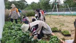 힐링가든봉사단, 도민 공동체 정원조성 재능기부 봉사활동 펼쳐
