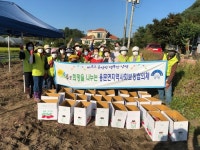 용문면지역사회보장협의체,‘사랑나눔농장 고구마 수확 ’구슬땀 흘려