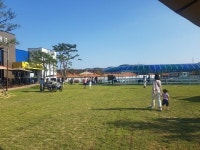 영천시, “천고마비의 계절, 운주산승마장에서 승마를 즐겨요”