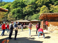 문경새재 숲밧줄과 트리클라이밍 체험, 가족 단위 방문객에게 ‘큰 호응’