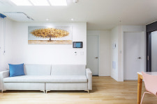 에이스홈데코 신축 빌라 ABS도어·중문 시공 증가 추세