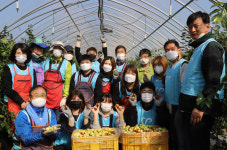 (주)새손 광원전자점 | 진천군의회, 일손부족 농가 생산적 일손 봉사활동