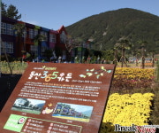 옛 돌산중앙초교 부지 지역민 공감쉼터로 재탄생