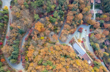 증평 좌구산 단풍, 등산객 매혹적 유혹