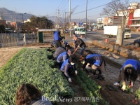 의정부시 송산1동, 겨울철 아름다운 꽃길 가꾸기 사업 실시