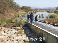 충주시, 2021년 어도 개보수사업 완료