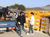 보은군, 관내 경로당에 감귤 전달