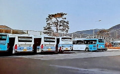 금정공영차고지 코로나 집단감염 확산...20~30% 감축 운행, 난방금지