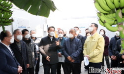 [포토] 김영록 전남지사. 해남 옥천 바나나 재배농장 방문