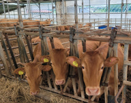 청주시, 축산·수산분양 경쟁력 강화 129개 사업 191억원 지원