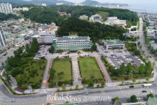 동해시 농업기술센터, 올 3월부터 길고양이 중성화 사업 추진