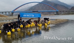 하동군, 화개장터 인근 섬진강에 어린 은어·연어 방류