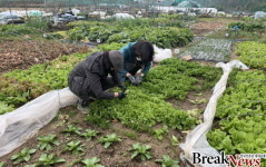 광주 남구 “덕남동에서 도시텃밭 일구세요”