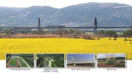 대구시, 하중도 접근로 4곳 확장