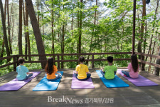 정선군, 치유의 숲 로미지안가든 봄맞이 명상프로그램 진행