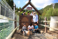 밀양시, 꽃새미마을 허브야생화 전시회 개최