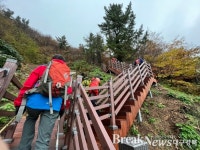 울릉군, 낙석위험지역 우회하는 성인봉 등산로 1.1km 신규 개통