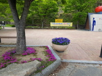 청도 망향정 휴게소, ‘쓰레기통 없는 시범구역’ 운영