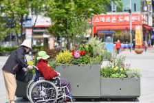 파주시, 금릉역 중앙광장 봄꽃가든 조성