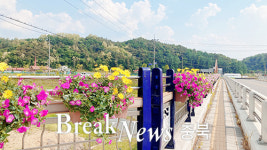 엄정면, 난간 꽃화분 설치로 아름다운 꽃길 조성