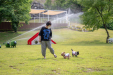 증평 에듀팜 특구, 펫포레 플레이그라운드 일반인 대상 운영