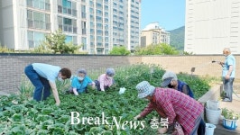 충주시 연수동, ‘경로당 옥상 텃밭 가꾸기’ 추진