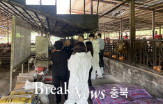 충주시, 한우농가 맞춤형 종합컨설팅 실시