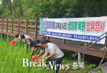 충주시,  생태계 복원위해 대륙송사리 방류