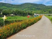 사천강 산책로 ‘생태힐링길’ 꽃 물결 가득