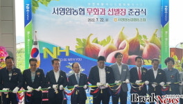 전남농협, 서영암농협 무화과 선별장 준공식 개최