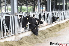 나주시, 축산농가 사료구매자금 융자지원 실시
