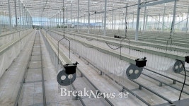 경남도, 스마트팜 혁신밸리 임대형 스마트팜 본격 운영