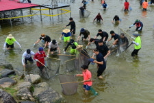 봉화은어축제, 2일차‘은어잡이 체험’과 ‘미스터트롯 콘서트’로 인산인해