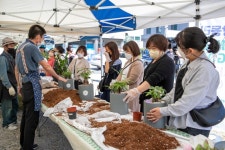 증평군, 문화가 있는 날 창동리 화분심GO!, 사진찍GO! 행사 진행