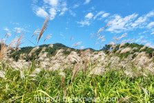 정읍시 산내면 장금이 정원 꽃향기 물신