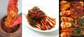 역사를 헤아린 문화 탐방