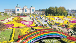 임실 치즈테마파크 인기몰이