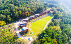 단양지역 자연휴양림, 힐림 쉼터로 각광