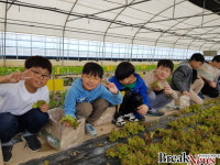 전남도, 올해까지 430개소 육성 농촌융복합산업 전국 선도