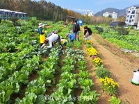 용인특례시, 시민농장 텃밭 분양에 2천여명 몰려 성황