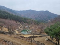 [현지 르포]경남 하동군 삼성궁...대지를 디자인한 천재 한풀 선사