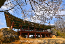 삼척시, 보물 제213호 죽서루...국보 승격을 위한 시민 분위기 고조