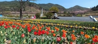 거창사건 순례인증 챌린지 운영