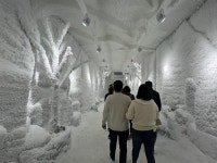 인생샷 끝판왕 순천만국가정원박람회장서 추억을 담아보세요