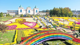 임실군 치즈테마파크, 야외공연 운영