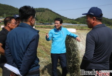 강진 한우, 지역 핵심산업으로 새로운 도약