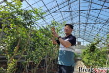 전남도, 5월 친환경 농산물에 ‘블루베리’ 선정